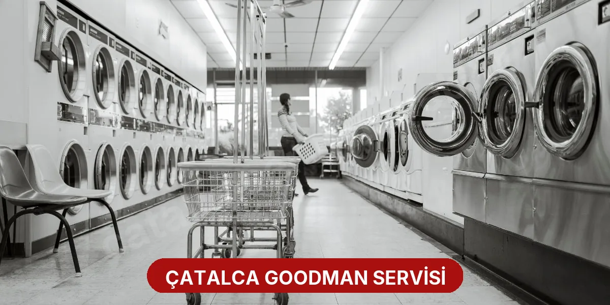Çatalca Goodman Servisi
