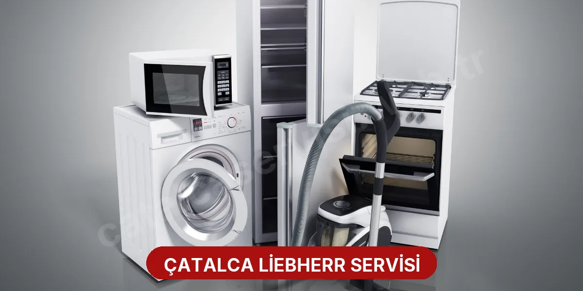 Çatalca Liebherr Servisi